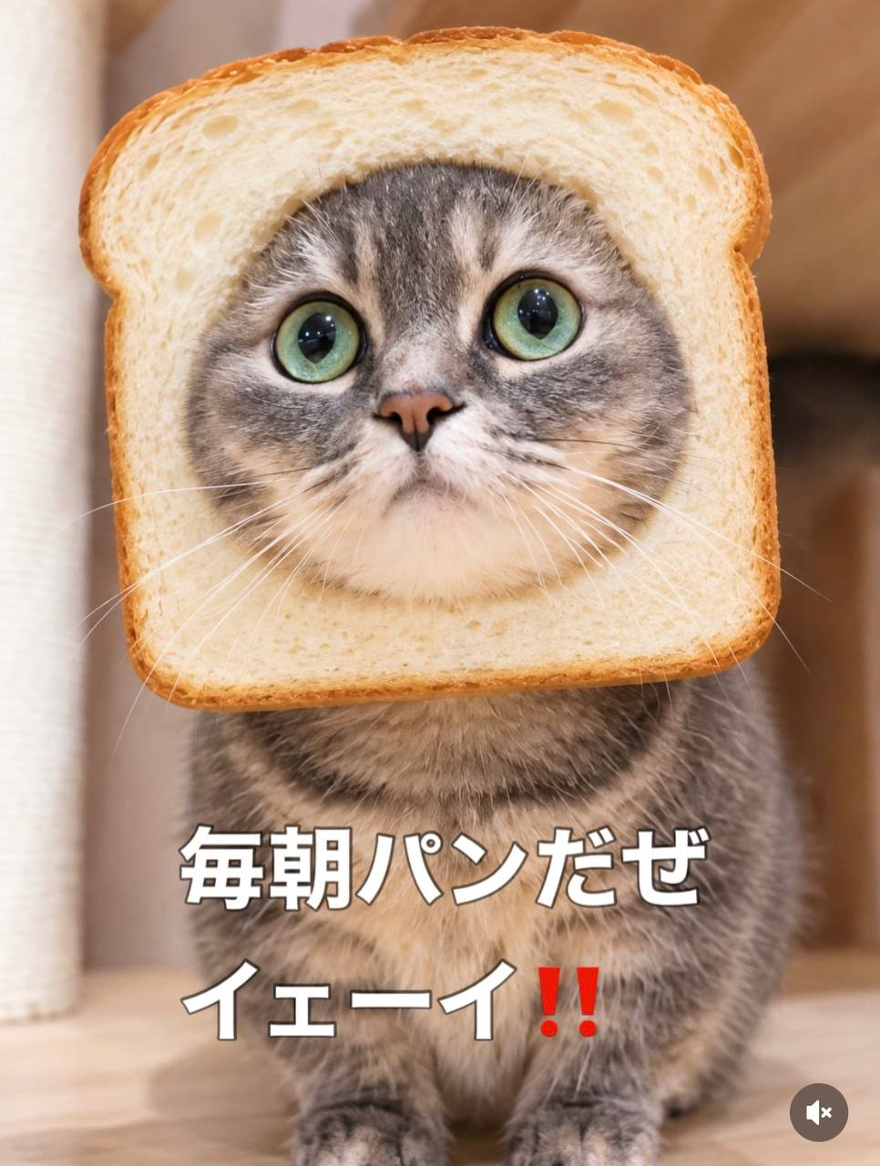 Cocoa wearing bread around her head